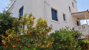 Un bâtiment blanc avec des volets bleus et un balcon.