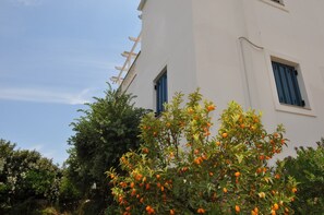 Villa, 5 Bedrooms, Partial Sea View | Terrace/patio - Villa Kyma (Spetses)
