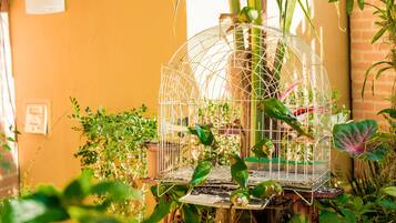 Una jaula para pájaros con varias aves adentro, rodeada de diversas plantas.