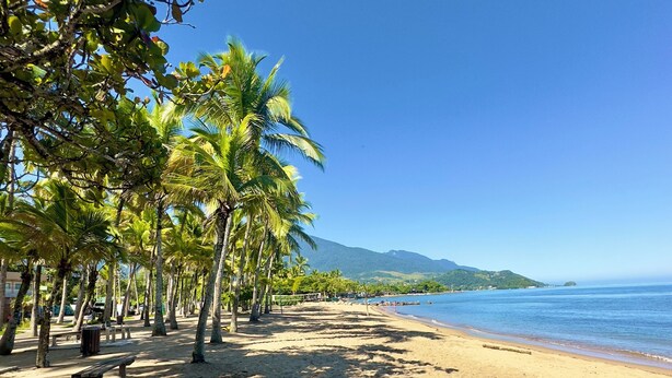 A beach with palm trees, a sandy path, and a bench. - Recanto das Tiribas (Ilhabela)