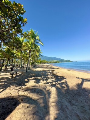 Una playa con palmeras, un sendero arenoso y un banco.
