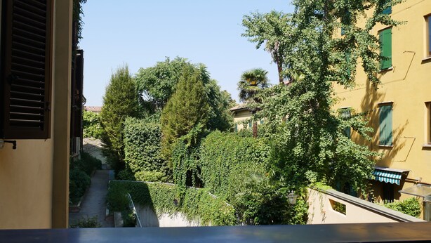 Une vue d’une rue étroite bordée d’immeubles aux volets verts et d’arbres luxuriants.