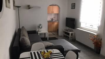 Apartment | Living room | Flat-screen TV, DVD player