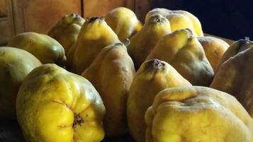 A wooden table with a bowl containing several yellow fruits.