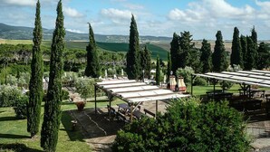 A vineyard with rows of grapevines, a gazebo, and picnic tables. - San Giorgio Country Residence (Santa Luce)