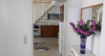 ZV-Scholtz Burghausen Wacker Straße 78