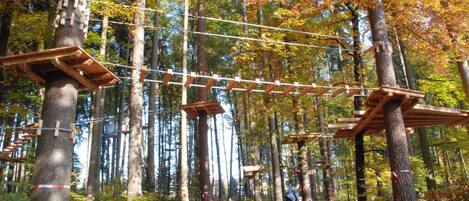 A forested area with wooden rope bridges and a bicycle path.