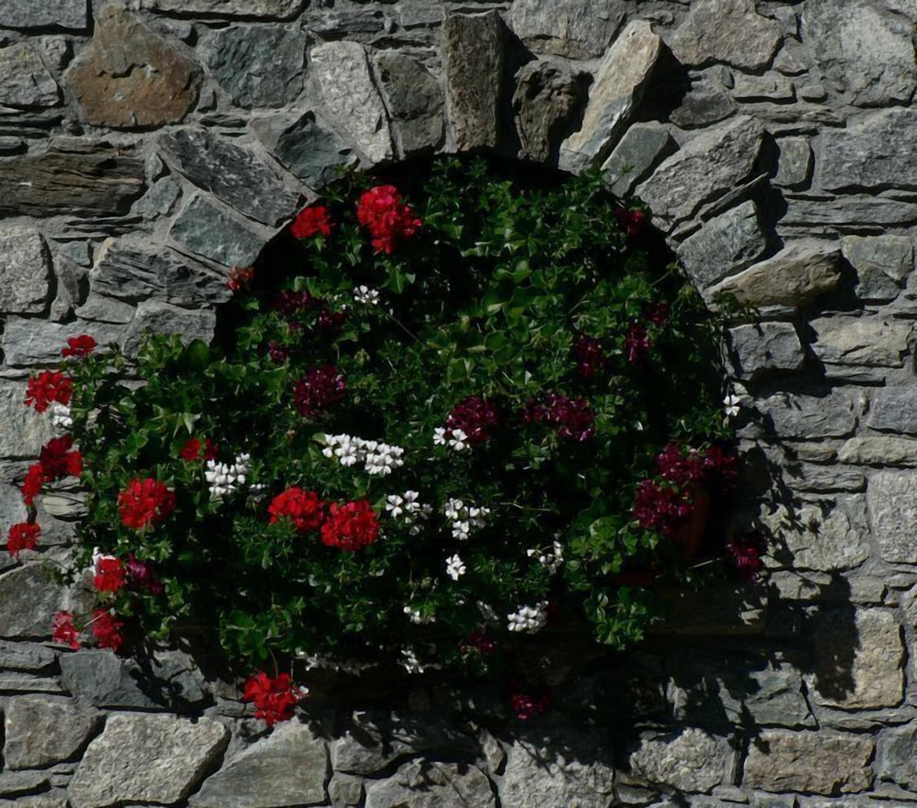 A stone wall with a circular flower bed containing red and white flowers.