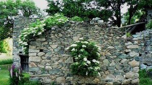 Un muro de piedra con una pequeña ventana y vegetación abundante.