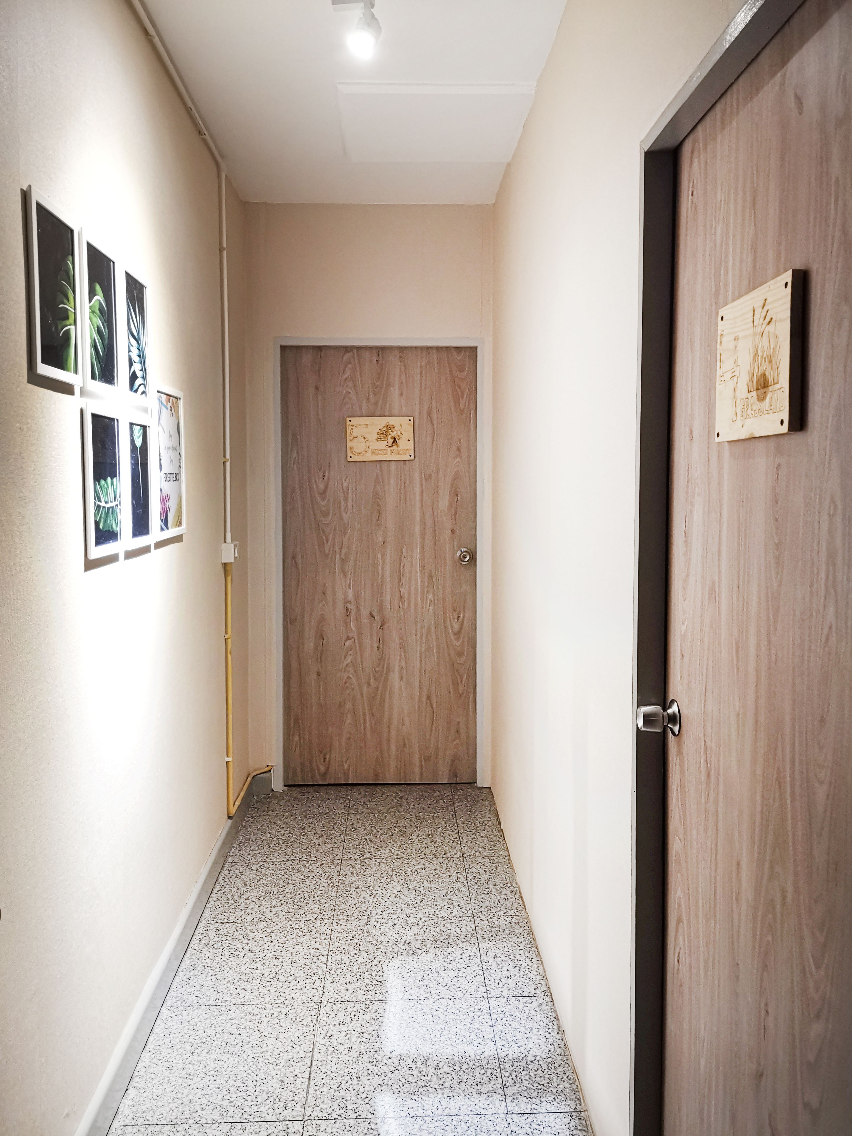 Foto - Foresttel.bkk