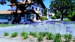 Un hotel de estilo arquitectónico europeo tradicional, con un árbol destacado en primer plano y un jardín cuidado con flores moradas.