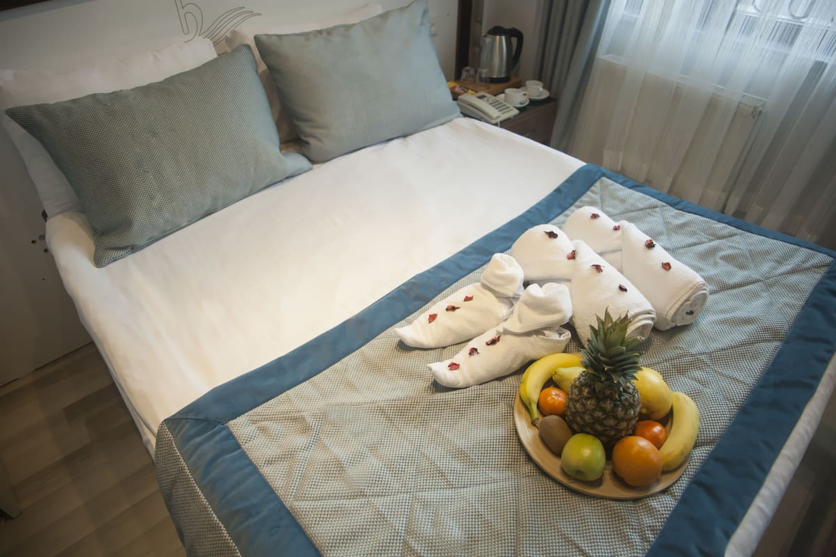 Economy tweepersoonskamer, 1 tweepersoonsbed, uitzicht op stad | Een minibar met enkele gratis items, een kluis op de kamer, een bureau
