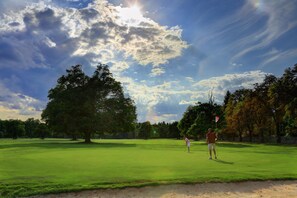 View from room - Penzion Černická obora (Sudomerice u Bechyne)