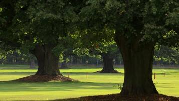 Un parcours de golf avec de grands arbres et un terrain verdoyant bien entretenu.