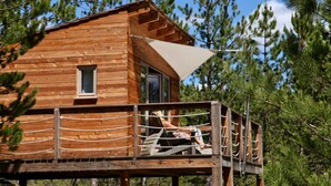 Een houten hut met balkon, omgeven door dennenbomen.