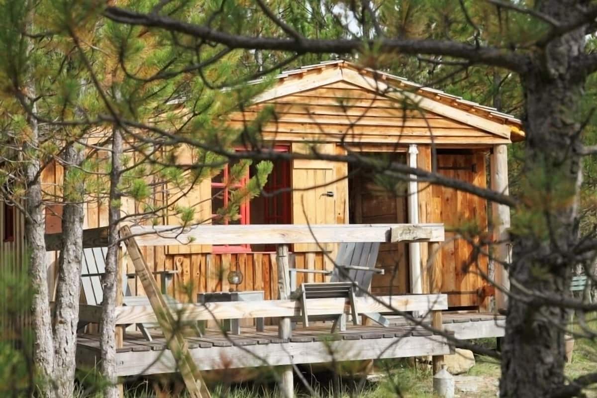 Een houten chalet met een veranda, omringd door bomen.