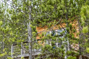 Chalet rustique (Cassiopée) | Décor unique, ameublement unique, rideaux d’obscurcissement
