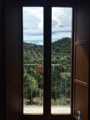View from room