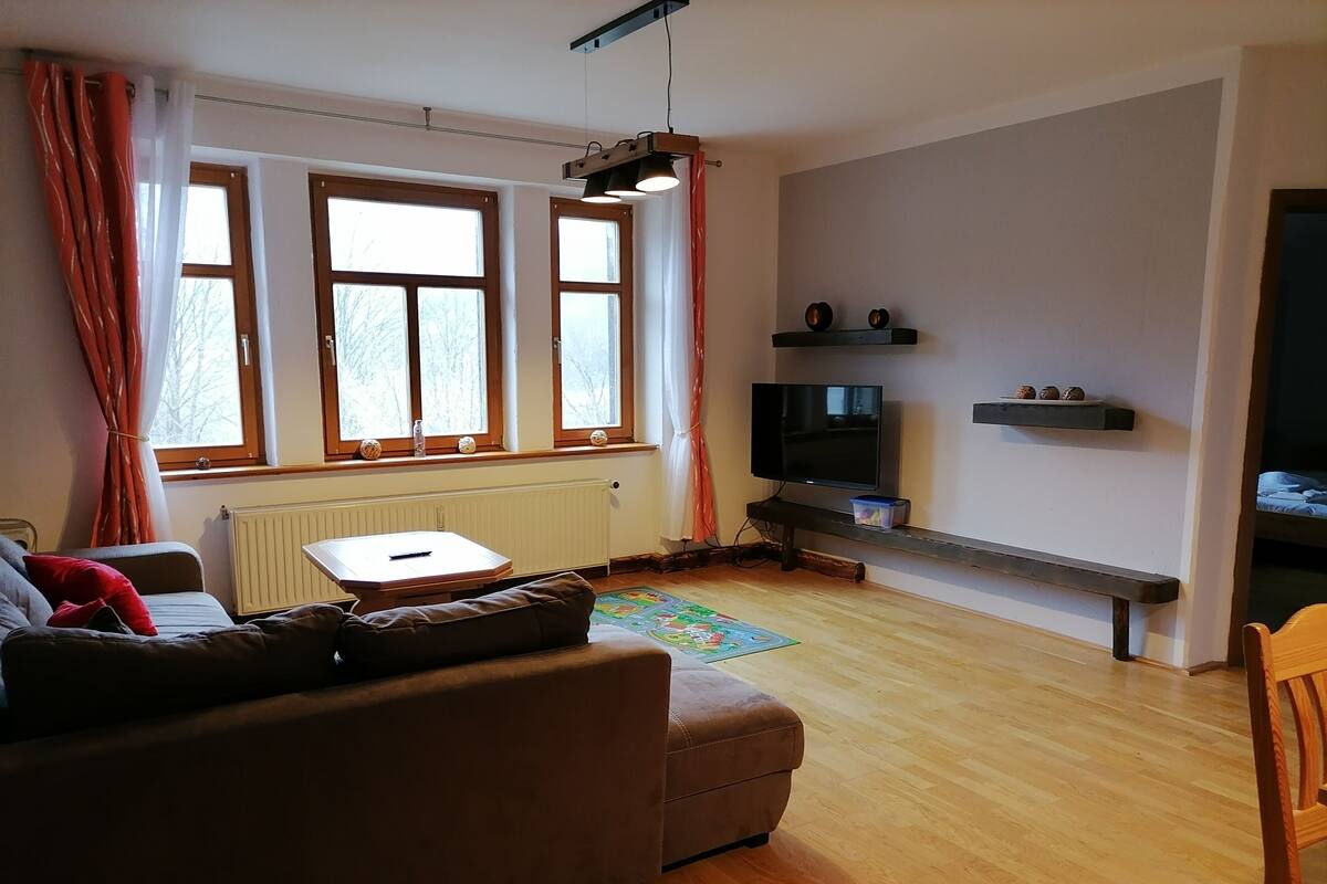 A living room with a sofa, a TV, and a radiator.