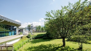 Een modern gebouw met een glazen gevel, een grasachtige binnenplaats en een grote boom.