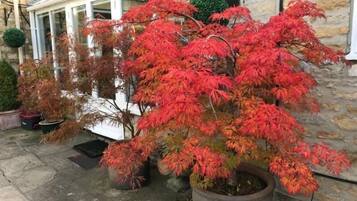 Kahden hengen huone, kylpyhuone makuuhuoneen yhteydessä, näköala puutarhaan | Ulkopuoli