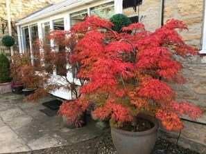 Double Room, Ensuite, Garden View | Exterior