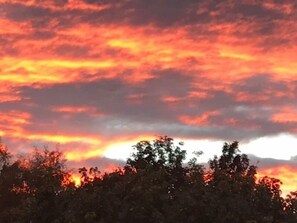 A sunset with a vibrant sky and a silhouette of trees. - Stilworth House (York)