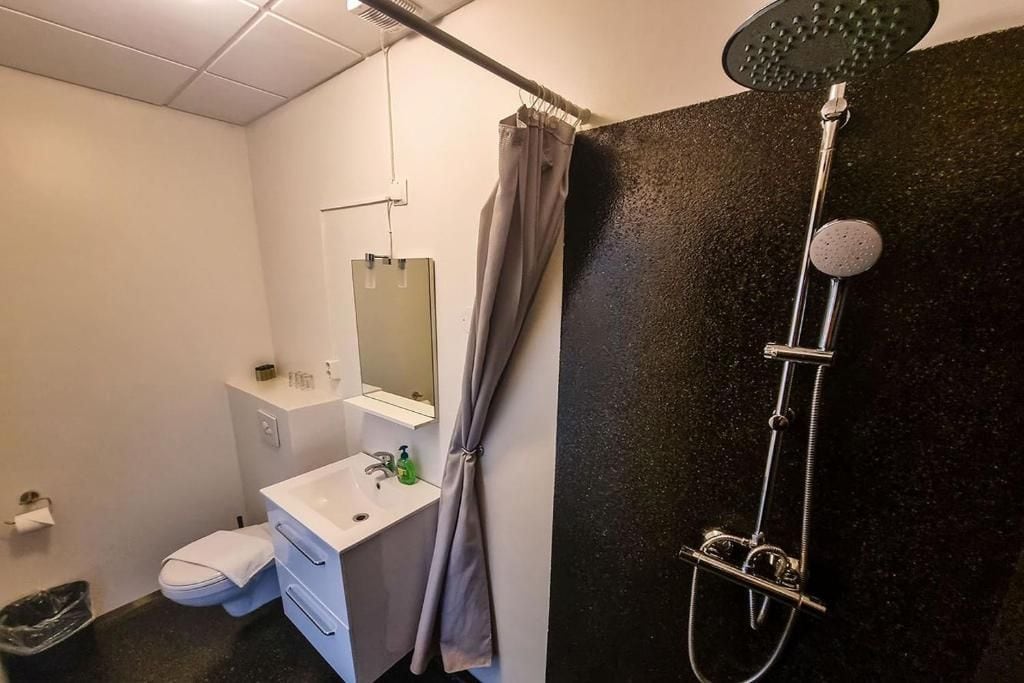 Une salle de bain équipée d’une douche, de toilettes, d’un lavabo et d’un miroir.