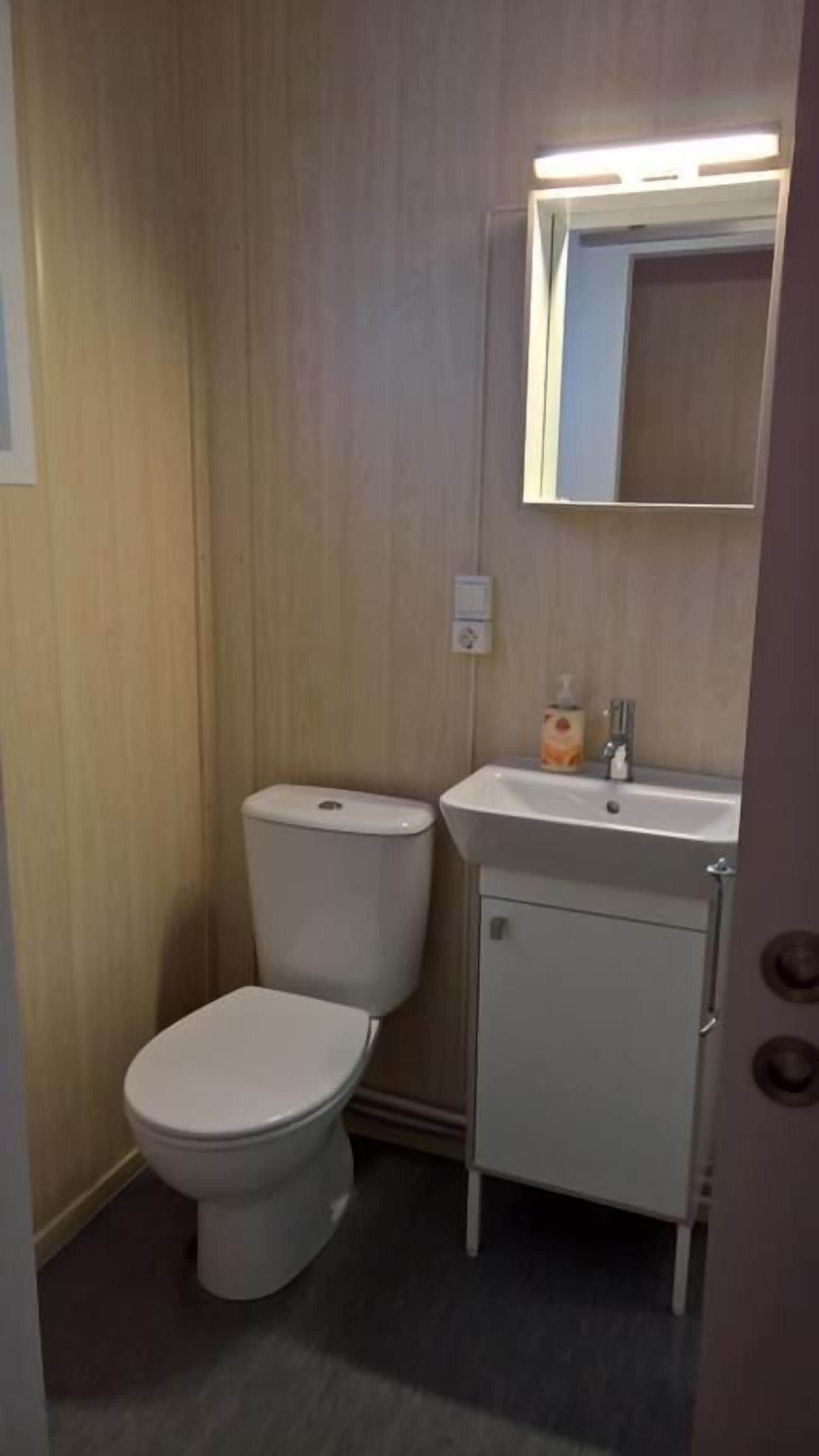 A small bathroom with a toilet, sink, and mirror.