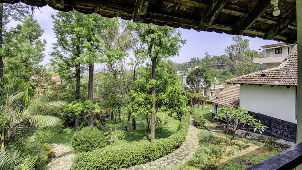 Un jardin luxuriant avec un sentier en pierre, entouré de divers arbres et plantes, et surmonté d’une structure en bois.