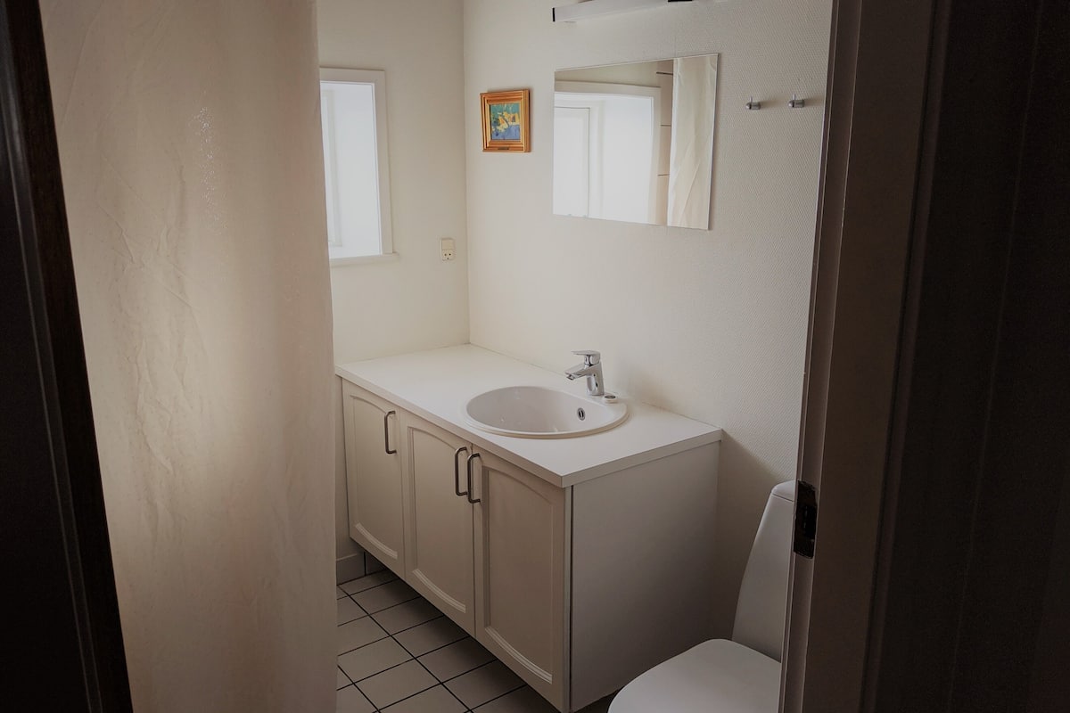 comfort apartment | bathroom | shower, free toiletries, hair dryer, towels