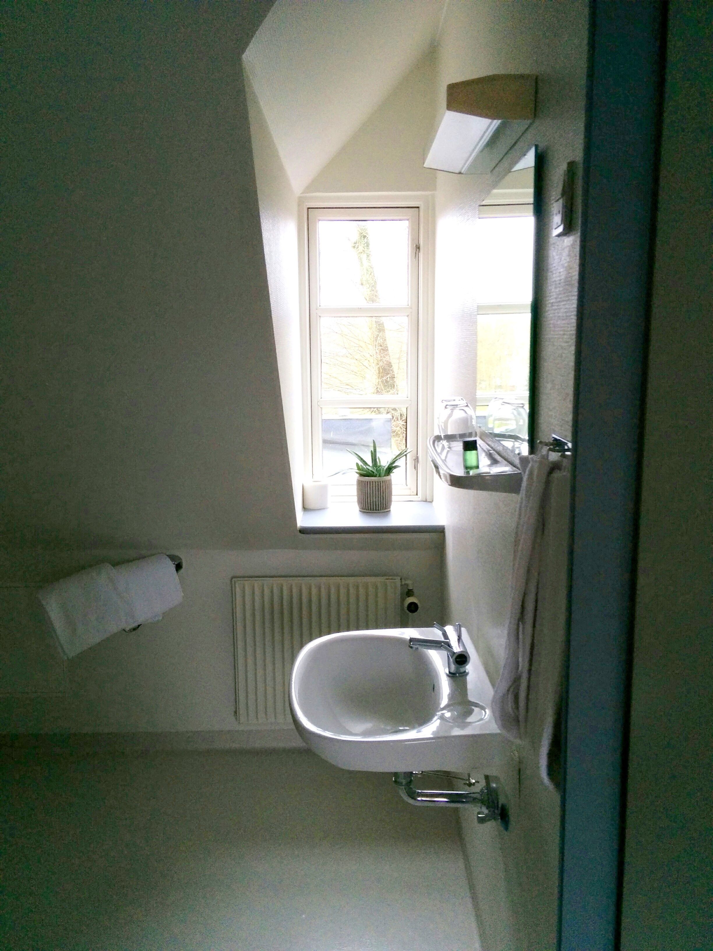 basic room, non smoking | bathroom | shower, free toiletries, hair dryer, towels