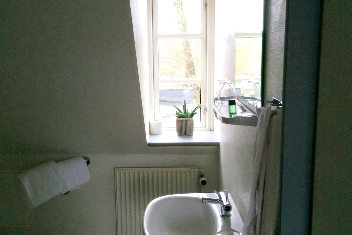 basic room, non smoking | bathroom | shower, free toiletries, hair dryer, towels