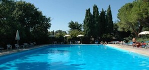 Une piscine entourée d’arbres, avec des chaises longues et des parasols.