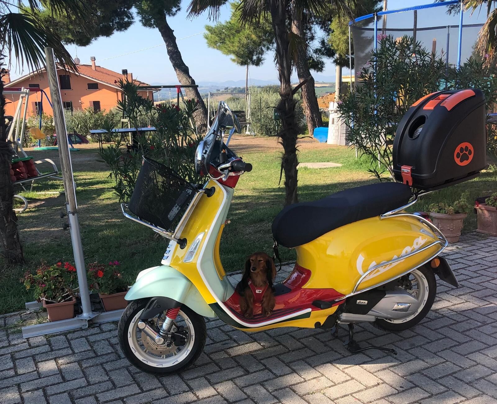 A yellow scooter parked on a paved area with a black seat and a red bag attached to the back.