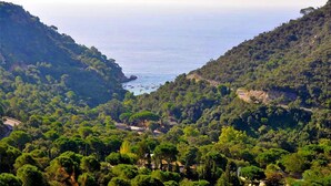 Exterior detail - Kampaoh Cala Pola (Tossa de Mar)