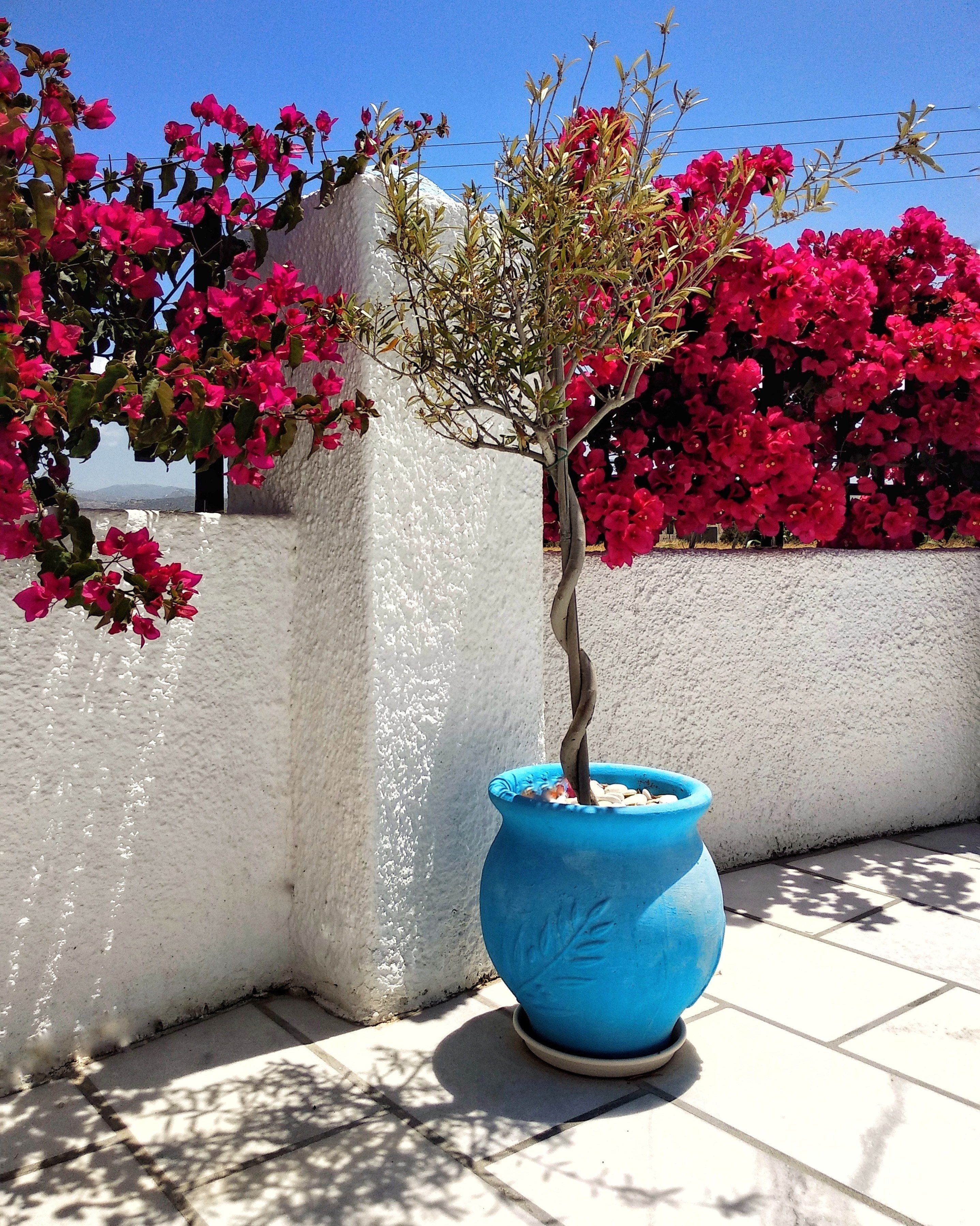 Photo - Dedalos Studios Naxos