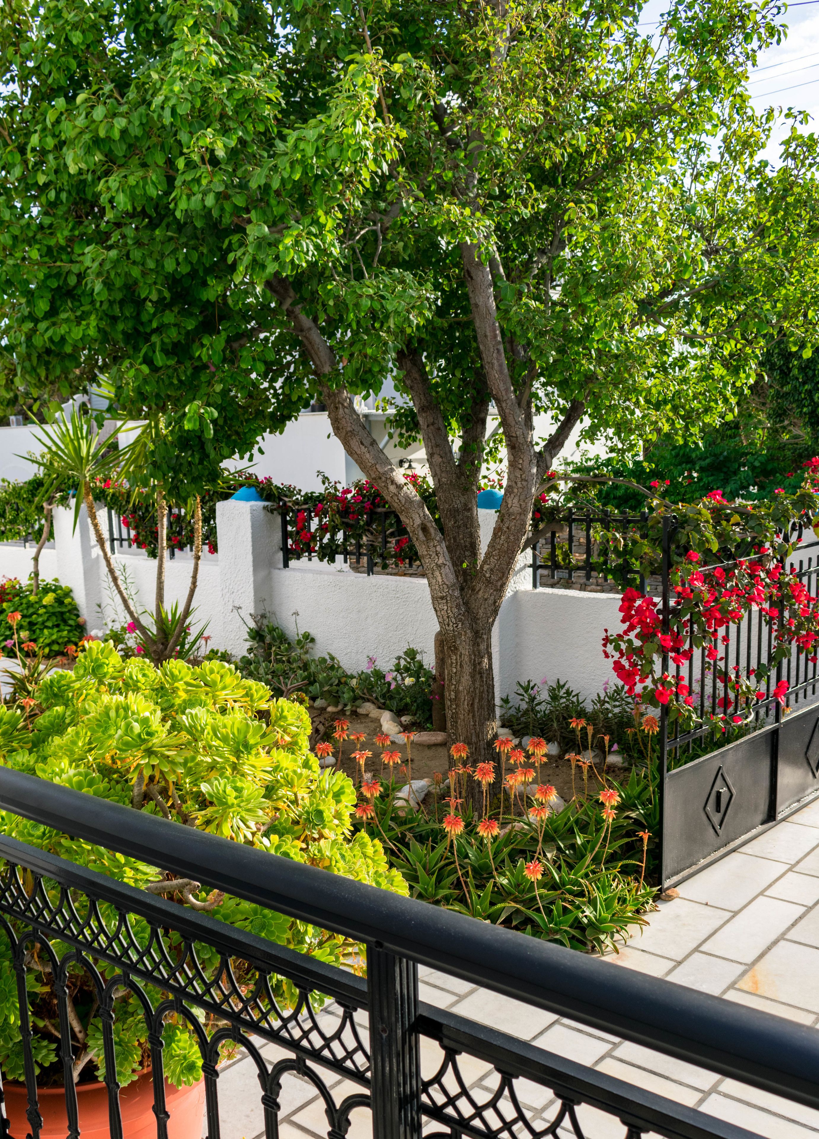 Photo - Dedalos Studios Naxos