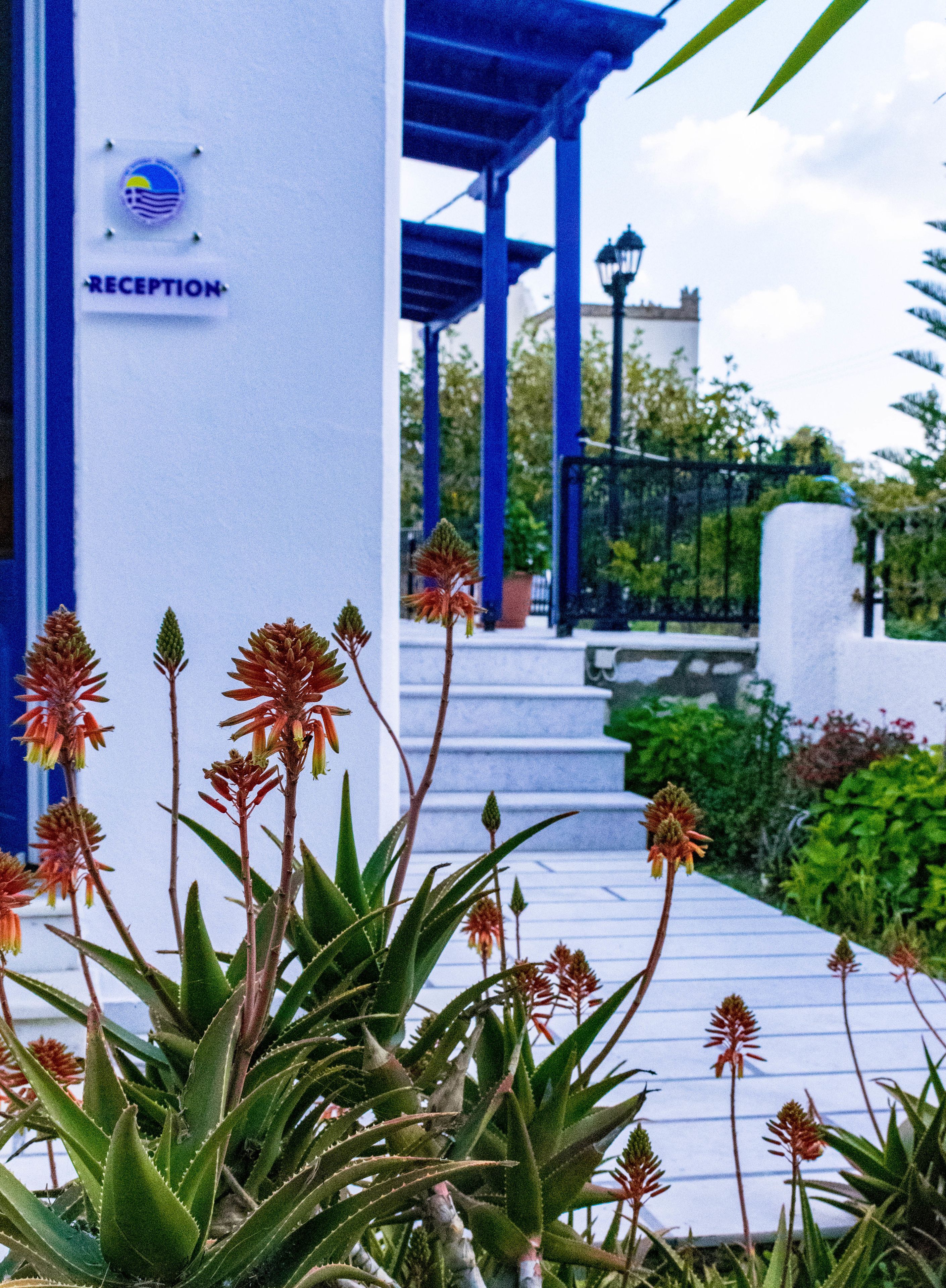 Photo - Dedalos Studios Naxos