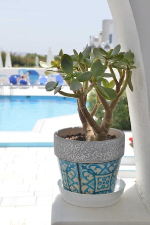 A potted plant with a blue and white patterned pot on a white surface near a pool. - Dedalos Studios Naxos (Naxos)