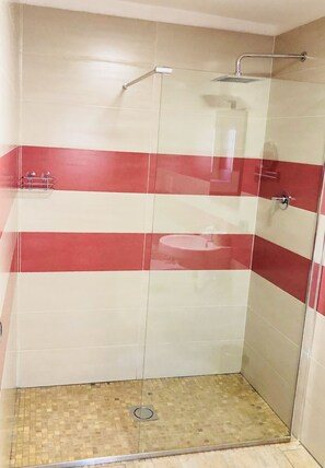 الدش داخل الحمام