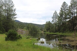 A natural landscape with a lake surrounded by trees and a hill in the background.