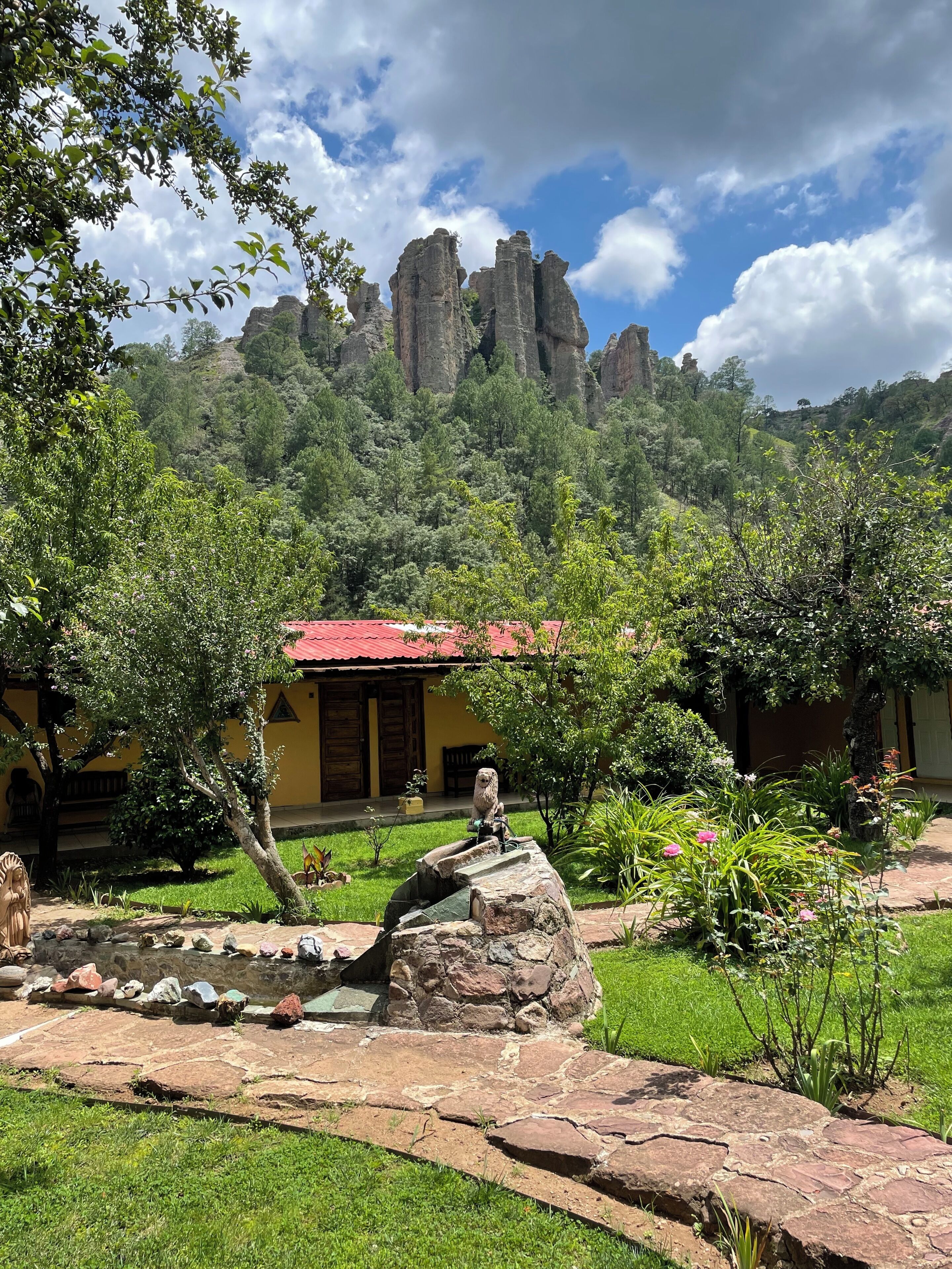 Vista al jardín
