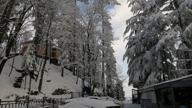 A snowy street with a parked car and trees covered in snow. - GreyVillas (Murree)