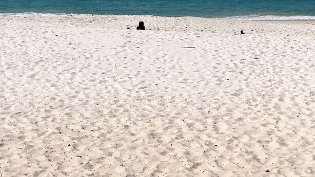 A beach with white sand and clear blue water. - Quelle Vue HUSKISSON - Means What a View in French - The only place to stay (Huskisson)
