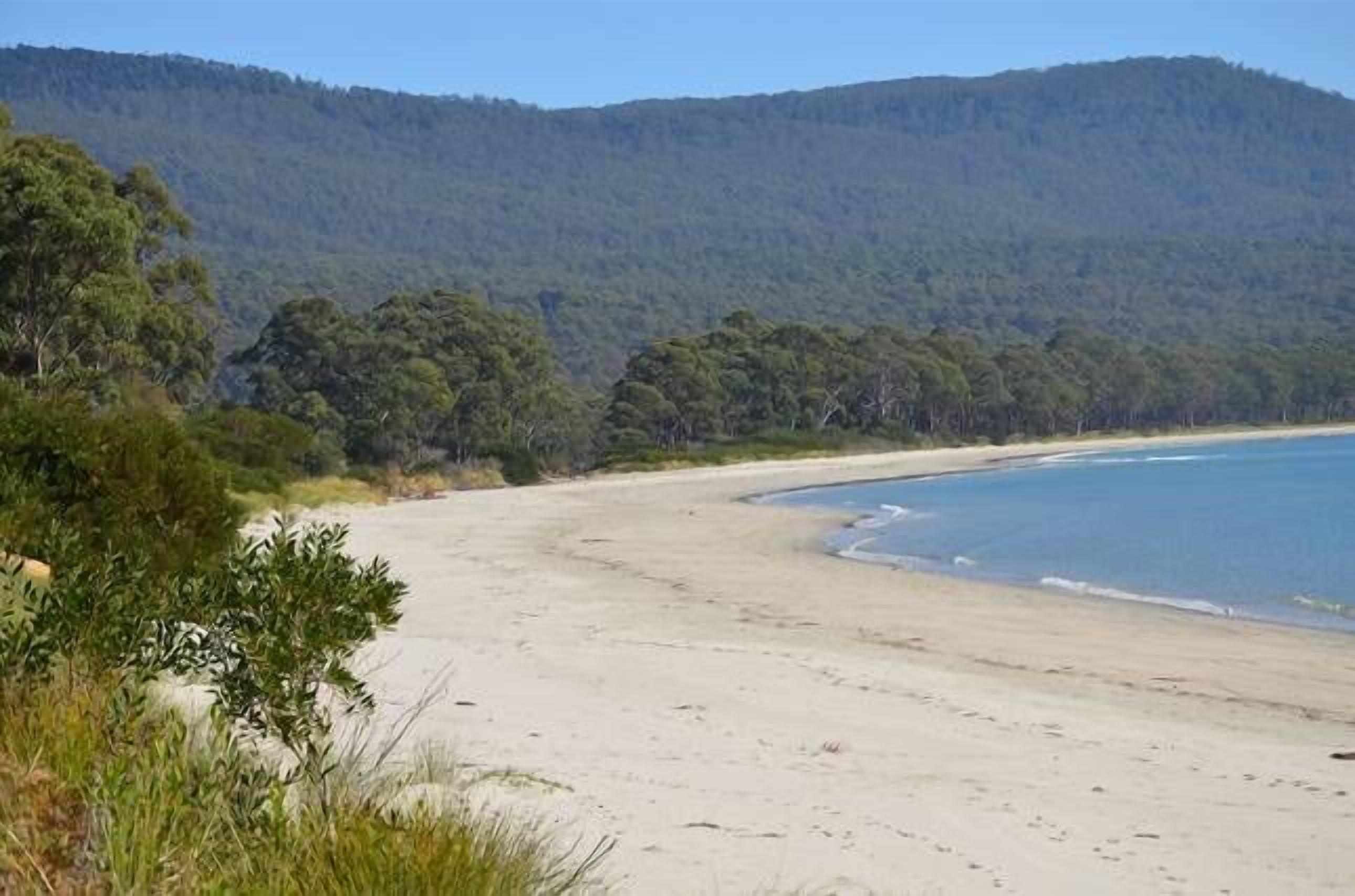 Yolla Beach House A Quiet Relaxing Getaway — image 8