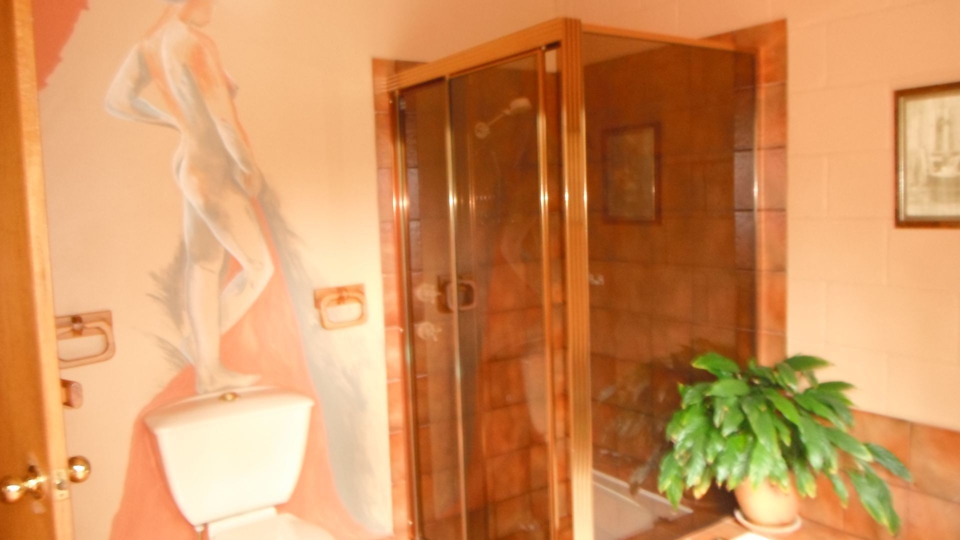 Allambie Gums Kangaroo Valley