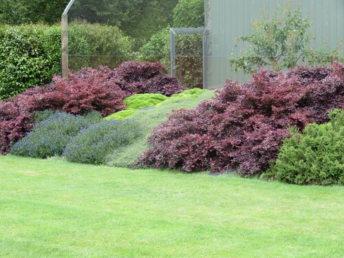 Massey Country Cottage - 11 Kms to Lake Karapiro and 7 Kms to Cambridge Center