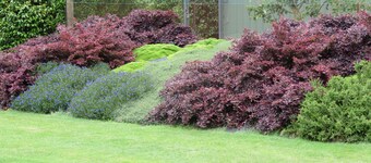 Massey Country Cottage - 11 Kms to Lake Karapiro and 7 Kms to Cambridge Center