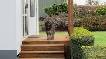 Guests can enjoy a tranquil atmosphere on the porch, surrounded by lush greenery and a beautifully manicured lawn.
